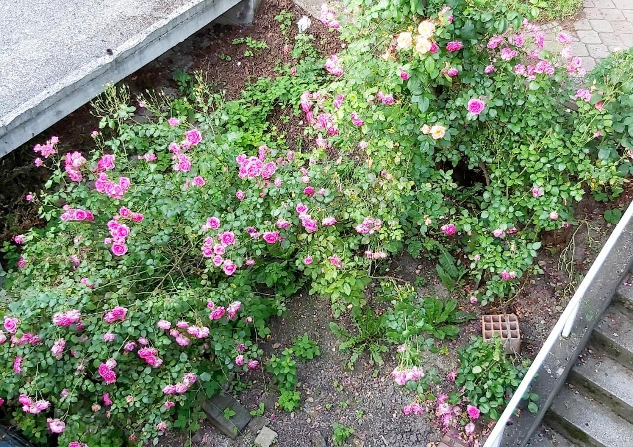 Mija Saraievo Exterior foto